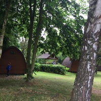 Thetford Forest Camping And Caravanning Club Site Thetford Norfolk
