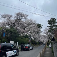 Photo taken at Aoyama Cemetery by Nobara F. on 4/5/2024