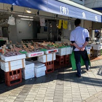 魚佐次商店 逗子 逗子市 神奈川県 魚佐次商店 逗子 逗子市 神奈川県