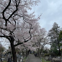 Photo taken at Aoyama Cemetery by Nobara F. on 4/5/2024