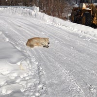 オソウシ温泉 鹿乃湯荘 新得町 北海道