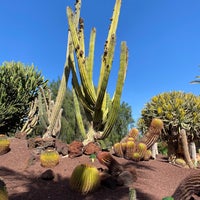 Снимок сделан в Oasis Park Fuerteventura пользователем Mherrerovelasco 11/20/2022