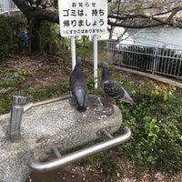 Photo taken at Nakanoshima Park by namiai j. on 4/7/2020