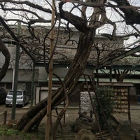 Photo taken at 国領神社 千年乃藤 by namiai j. on 1/25/2020