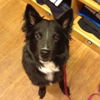 lululemon park meadows