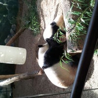 Photo taken at Ridin On A Panda Baby Monkey by Mr. H. on 10/11/2012