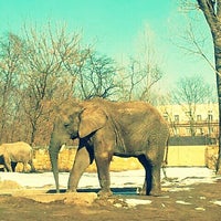 Miejski Ogrod Zoologiczny Nowa Praga Warschau Woiwodschaft