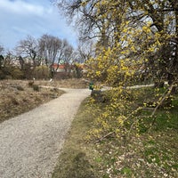 Photo taken at Botanischer Garten by Gizem O. on 3/5/2023