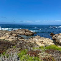 Photo taken at Asilomar State Beach by Noelle L. on 9/17/2022