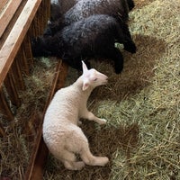 Photo taken at Riverdale Farm by wendy a. on 5/23/2023