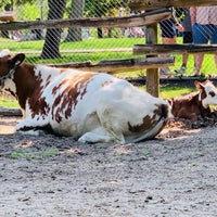 Photo taken at Riverdale Farm by wendy a. on 5/23/2023