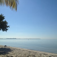 key biscayne dog beach key biscayne dog beach