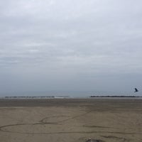 越前浜 海水浴場 2 Tips 越前浜 海水浴場 2 Tips