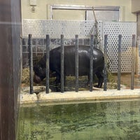 Photo taken at Hippopotamus by SNICEZ ♡ on 4/20/2023