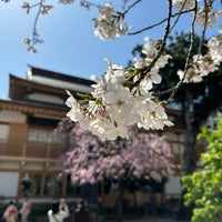 Photo taken at Kushida Shrine by AussieInJapan A. on 4/1/2024