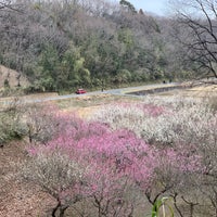 Photo taken at 寺家ふるさと村 四季の家 by M T. on 2/11/2019