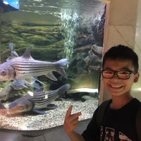 Photo taken at Bangkok Aquarium by maamee m. on 7/31/2016