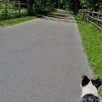 Dutchess Rail Trail 1 tip from - 11791936 4vHClBPCLRT10srXrLiFgfymFjuYVcGFLA2sNu1SrGg