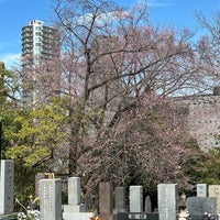 Photo taken at Aoyama Cemetery by cony ma on 3/29/2024