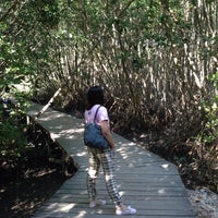 Photo taken at Mangrove Forest Conservation by Na N. on 9/1/2015