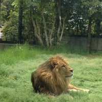 Photo taken at いしかわ動物園 by Kazuya S. on 5/4/2013