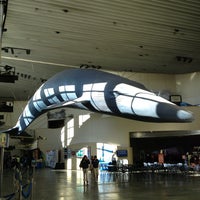 3/11/2013에 Alex K.님이 Aquarium of the Pacific에서 찍은 사진