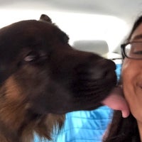 animal hospital alexandria