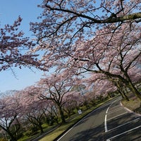 富士桜自然墓地公園 Cemetery