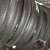 Linden cycles hot sale