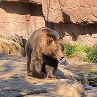 Photo taken at Brown Bears by Steve S. on 8/27/2022