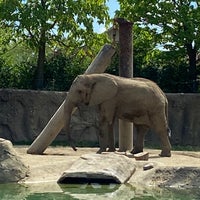 Photo taken at Elephants by Steve S. on 8/27/2022