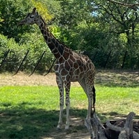 Photo taken at The Plains At The Zoo by Steve S. on 8/27/2022