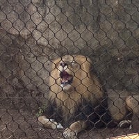 Photo taken at African lions by Steve S. on 8/27/2022