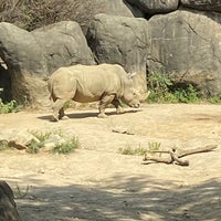 Photo taken at White Rhino Exhibit by Steve S. on 8/27/2022