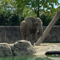 Photo taken at Elephants by Steve S. on 8/27/2022