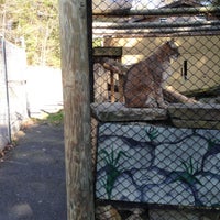Photo taken at Binghamton Zoo at Ross Park by Necia D. on 4/26/2013
