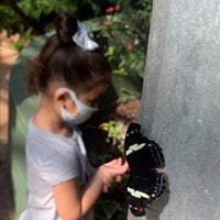 Photo taken at Butterfly Wonderland by Lo G. on 3/21/2021