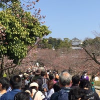 Photo taken at Himeji Castle by tearose on 3/30/2015