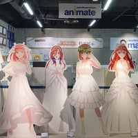 アニメイトjma東京タワー 麻布台 18 Visitors