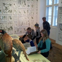 Photo taken at Naturkundemuseum by Stefan H. on 3/28/2013