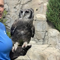 Photo taken at Tracy Aviary by Rebecca S. on 9/21/2023