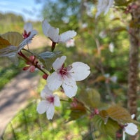 Photo taken at Niskalan arboretum by Jonas P. on 5/22/2022