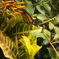 Photo taken at Butterflies and Plants - Partners in Evolution by Wendy B. on 5/30/2018