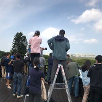陳康國小觀景台