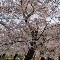 Photo taken at 桜山 by terakichi on 4/2/2022