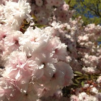 Photo taken at New York Botanical Garden by Ian N. on 5/3/2013