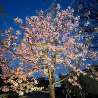 Photo taken at DAIKANYAMA T-SITE GARDEN GALLERY by Hongsung Y. on 2/21/2021