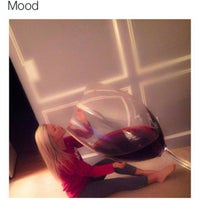 Collishop Stroppen Kantoor Huizingen Vlaams Brabant