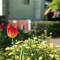 横浜市こども植物園 南区 横浜市 神奈川県