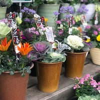カインズ 伊豆高原店 Hardware Store